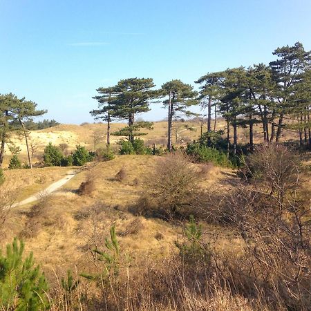 B&B Noordzee-Kerstdeco-Sauna-Strand7Km-Kennemerduinen Driehuis Exterior foto