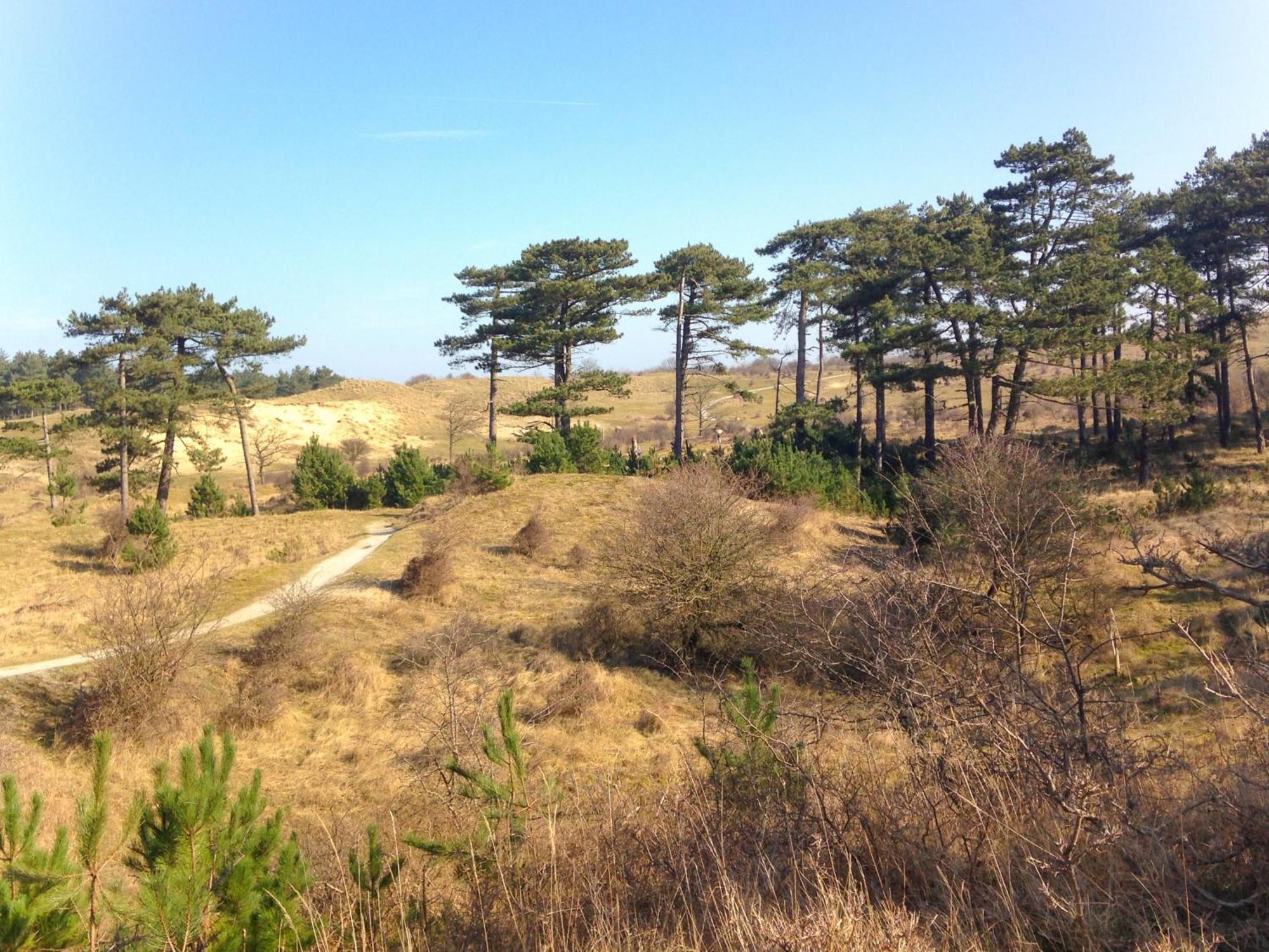 B&B Noordzee-Kerstdeco-Sauna-Strand7Km-Kennemerduinen Driehuis Exterior foto